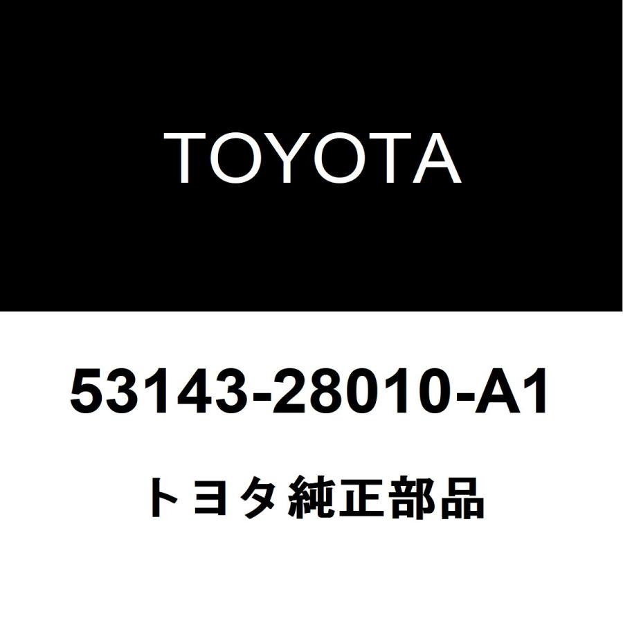 トヨタ（TOYOTA） トヨタ純正 ノア ラジエータグリルモール 53143