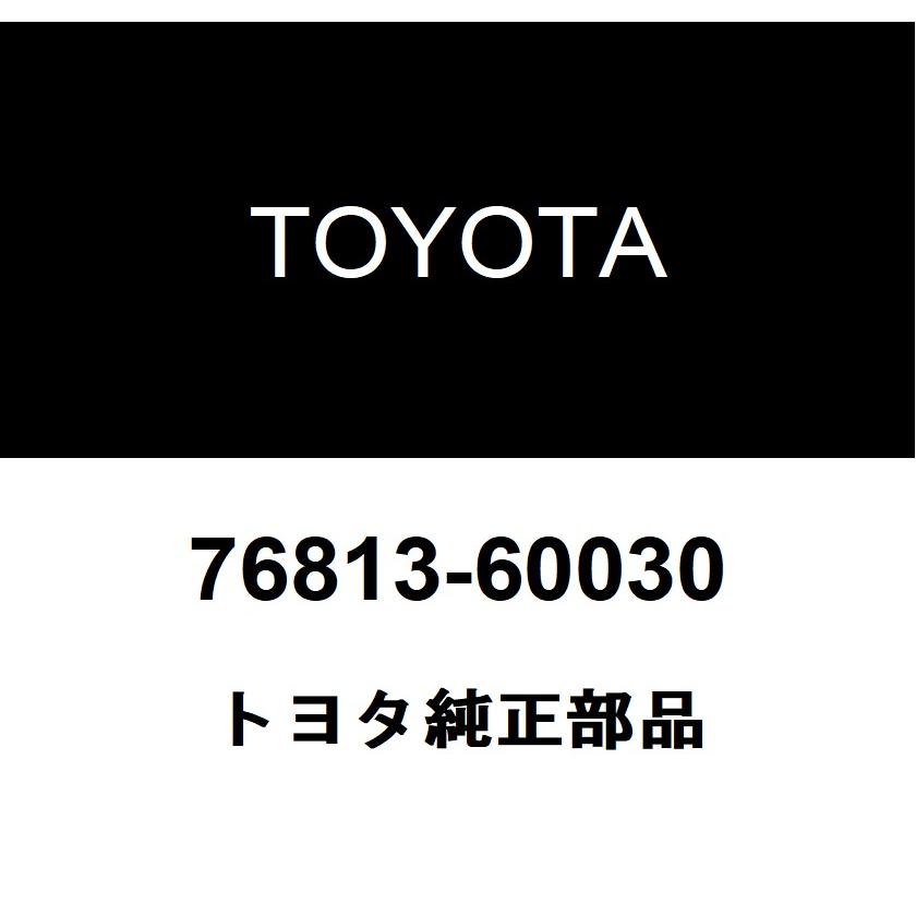 トヨタ（TOYOTA） トヨタ純正 バックドアアウトサイドガーニッシュ