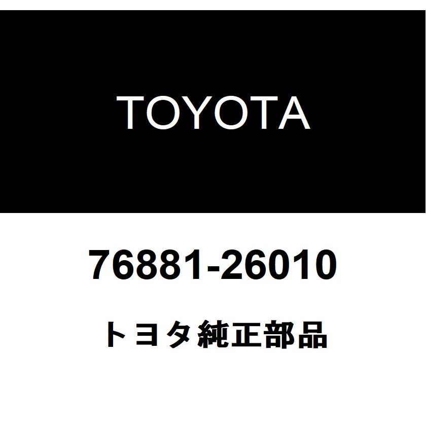 バックドア トヨタ（TOYOTA） トヨタ純正 バックドア ロワ モールディング