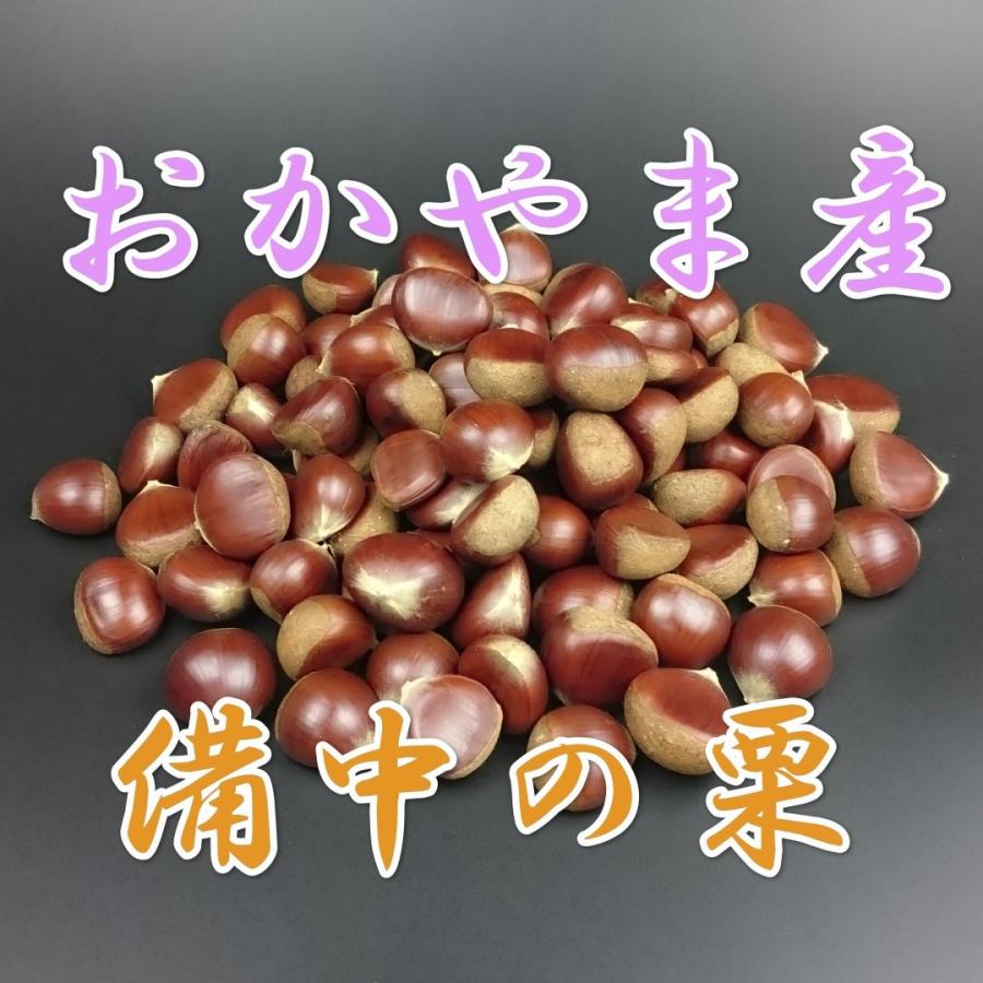 クリ 送料無料 秋の味覚 生栗 約900g : ちーときてみー備中 - 通販 - Yahoo!ショッピング