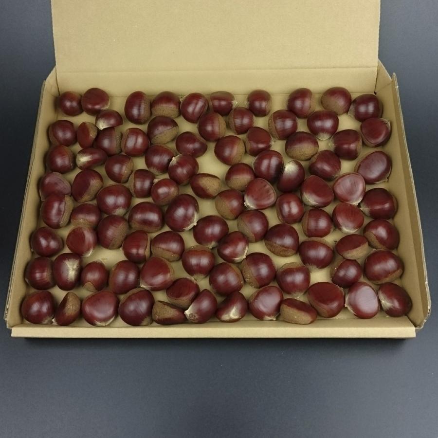 クリ 送料無料 秋の味覚 生栗 約900g : ちーときてみー備中 - 通販 - Yahoo!ショッピング
