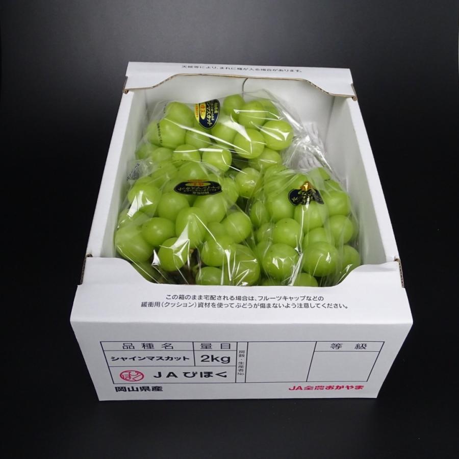 シャインマスカット「晴王」2kg（ご家庭用）② ※8/12に岡山から発送します！ 033-hareou2kgw01.jpg