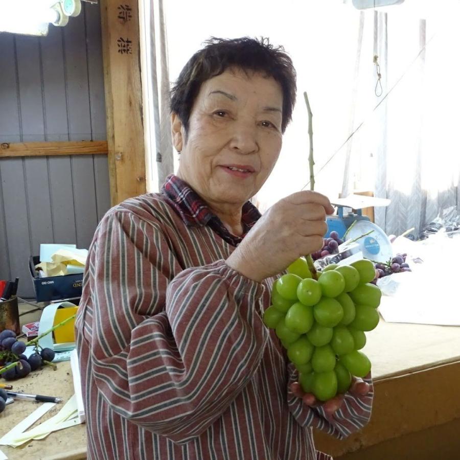 R7年産予約 発送12月より 特別貯蔵 シャインマスカット 大房1房入り