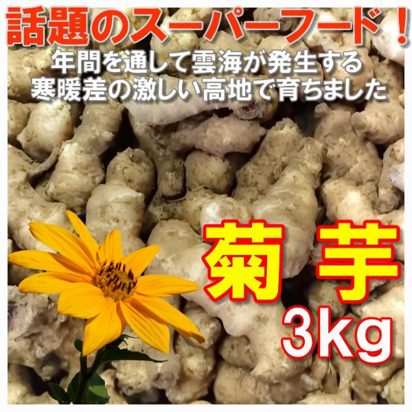 菊芋 きくいも 3kg 当店管理栄養士おすすめのレシピ付き 農薬化学肥料不使用 岡山備中産 得トクセール｜hey-com-bicchu