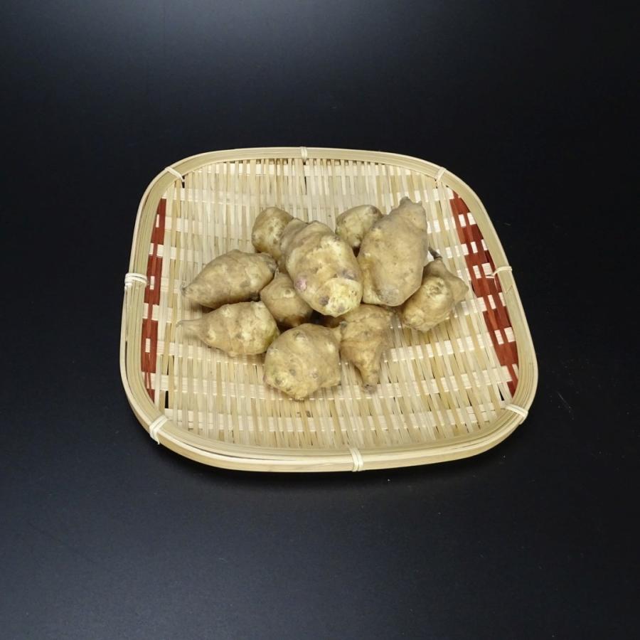 菊芋パウダー 天空 イヌリン豊富な岡山産無農薬 菊芋 300g 大容量パック おまけ付き 送料無料｜hey-com-bicchu｜03