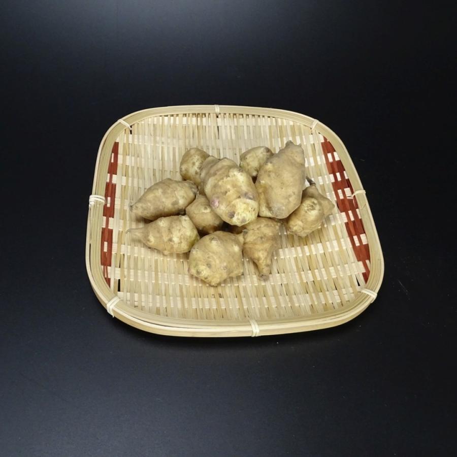 【予約】令和８年産 菊芋チップス 天空 100g入3袋 イヌリン豊富 岡山産 栽培期間中農薬不使用 菊芋 乾燥菊芋スライス 送料無料 得トク2WEEKS |  | 03