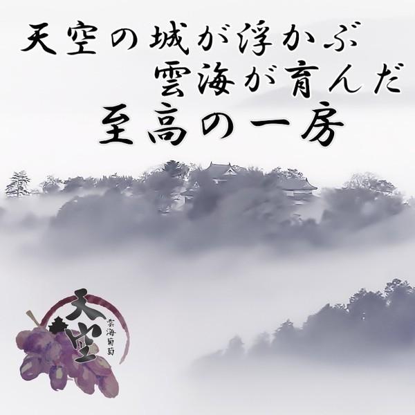 訳あり 数量限定 特別貯蔵 シャインマスカット 大房1房入 岡山びほく産 送料 無料｜hey-com-bicchu｜05