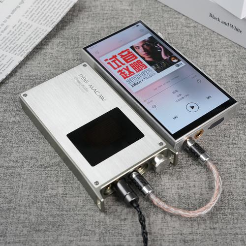 iBasso Audio（アイバッソオーディオ） 【国内正規品】iBasso Audio