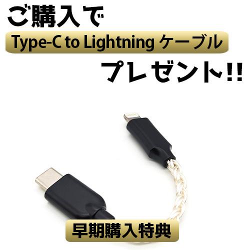 Shanling UA5 シャンリン Type-C タイプC Lightning ライトニング USB