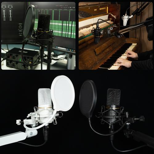 国内正規品】TOPPING Professional CL101 ホワイト【4月4日発売
