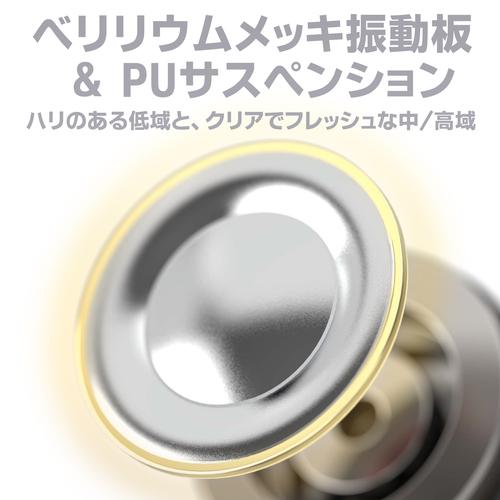 国内正規品】TWISTURA D-MAJOR with MIC 10mmダイナミックドライバー
