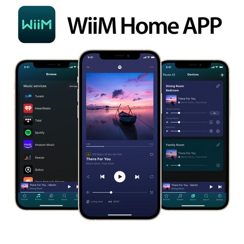 【WiiM 国内正規代理店】WiiM Pro Plus WiFi マルチルームストリーマー トランスミッター  AKM 4493SEQ Alexa Siri Aux SPDIF Spotify Amazon Music TIDAL｜heylisten｜14