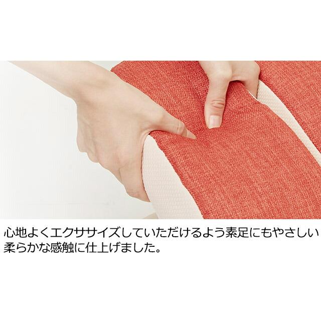 Re 【正規品】フィットネスクラブがつくった バウンドクッション Twin