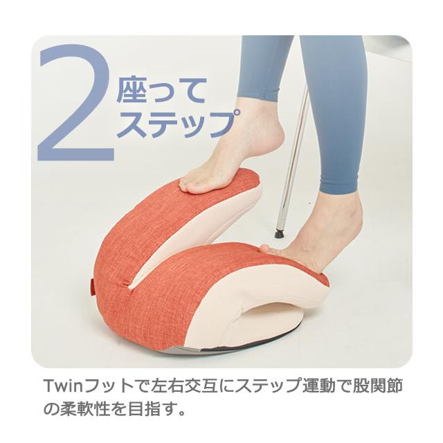 Re フィットネスクラブがつくった バウンドクッション Twin