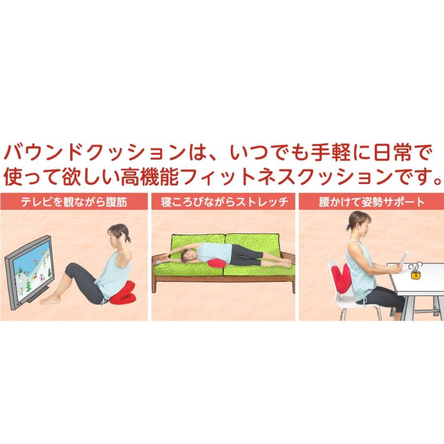 Re 【正規品】バウンドクッション ルネサンス メーカー公式