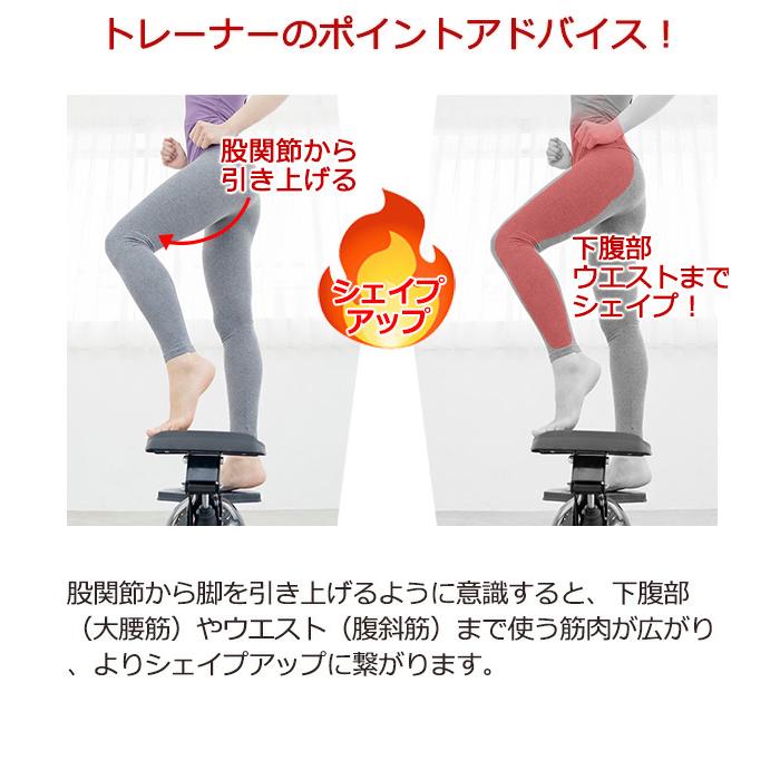 （決定）ステッパー エアロステッパー SP-500 楽天市場】【エアロステッパー正規品】ステッパー エアロステッパー SP