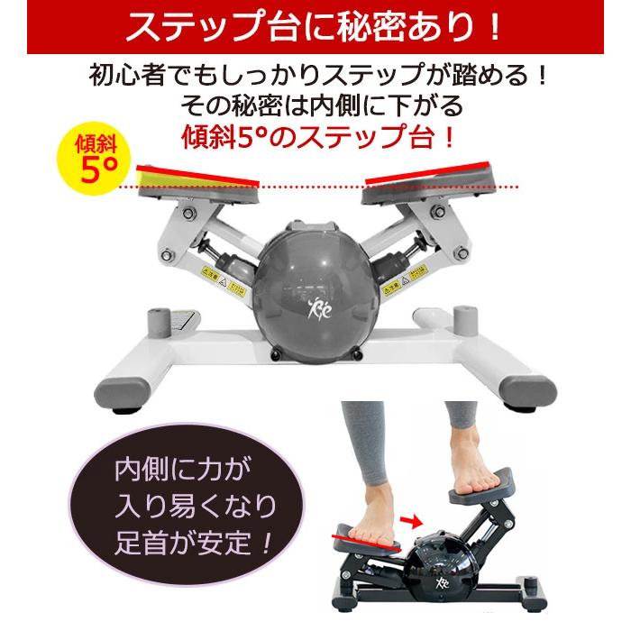 （決定）ステッパー エアロステッパー SP-500 エアロステッパー正規品】エアロステッパー SP-500 (30日間返金保証/5