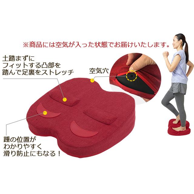 Re 【正規品】ふみトレステッパー エアー内臓 ステッパークッション