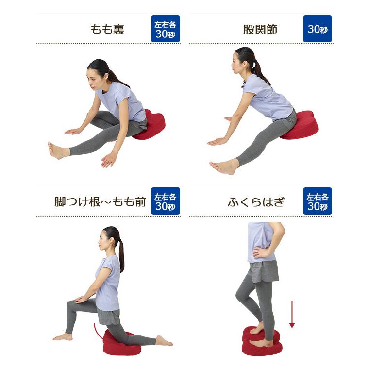 Re 【正規品】ふみトレステッパー エアー内臓 ステッパークッション