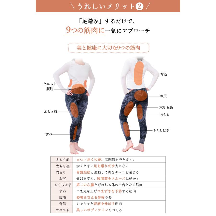 Re 【正規品】 ツイストステッパー ライト SP-700 30日間返品保証 5