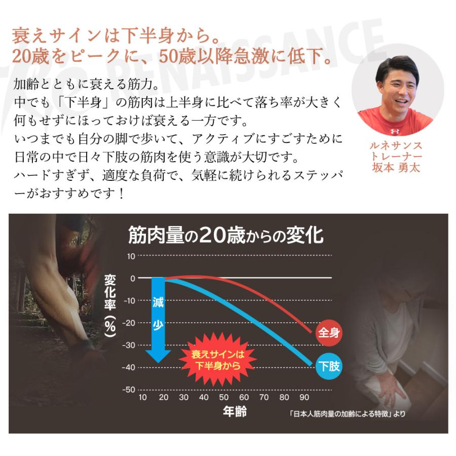 Re 【正規品】 ツイストステッパー ライト SP-700 30日間返品保証 5
