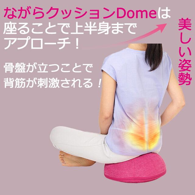 Re 【正規品】ながらクッションDome NCD-100 (ルネサンス) バランス