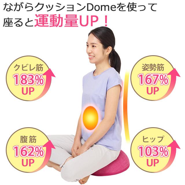 Re 【正規品】ながらクッションDome NCD-100 (ルネサンス) バランス
