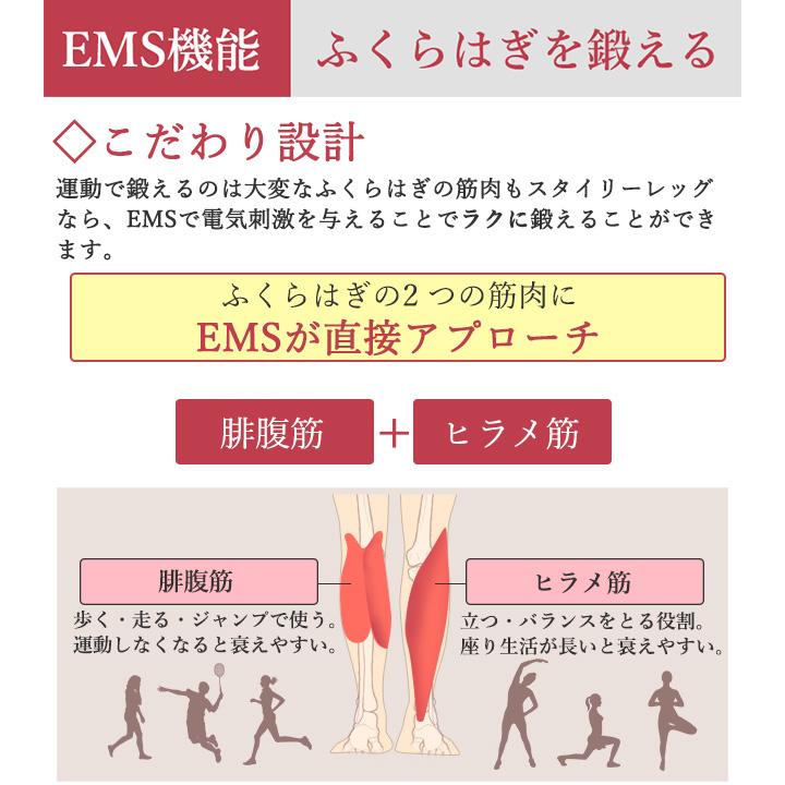 Re 【正規品】スタイリーレッグ 電動 強度5段階調整 2way機能 エアー加