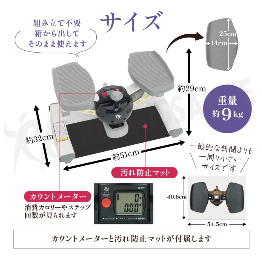 Re 【ツイストステッパー正規品】ツイストエアロステッパーSP-200 30