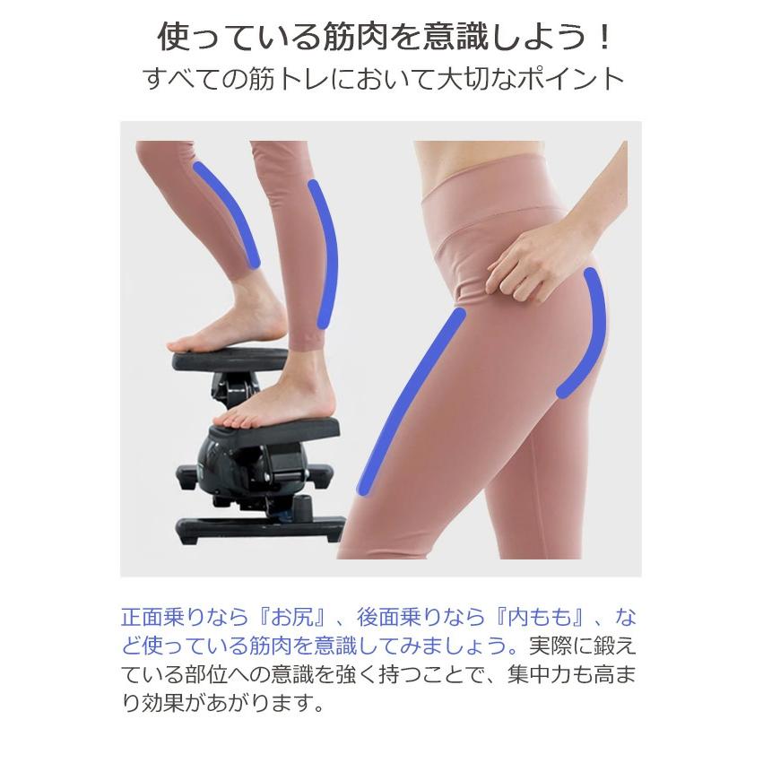 Re 【ツイストステッパー正規品】ツイストステッパー Premium SP-400