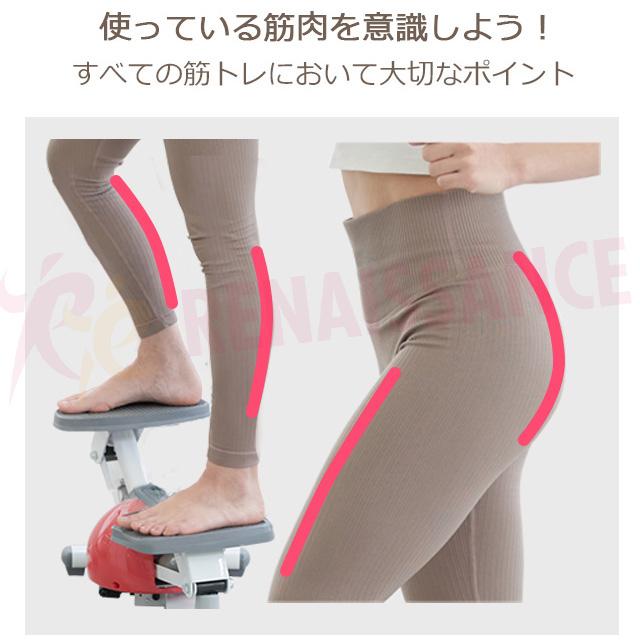 Re 【ツイストステッパー正規品】ツイストステッパー SP-100 30日間