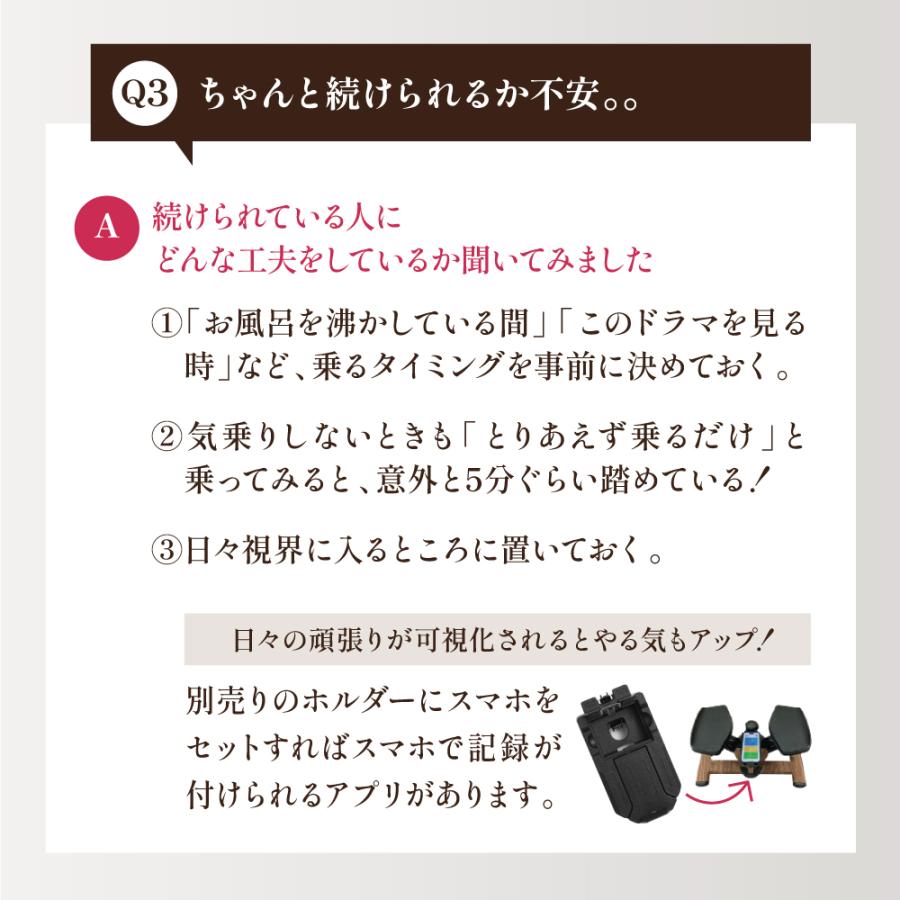 Re 【ツイストステッパー正規品】ツイストエアロステッパーPremium