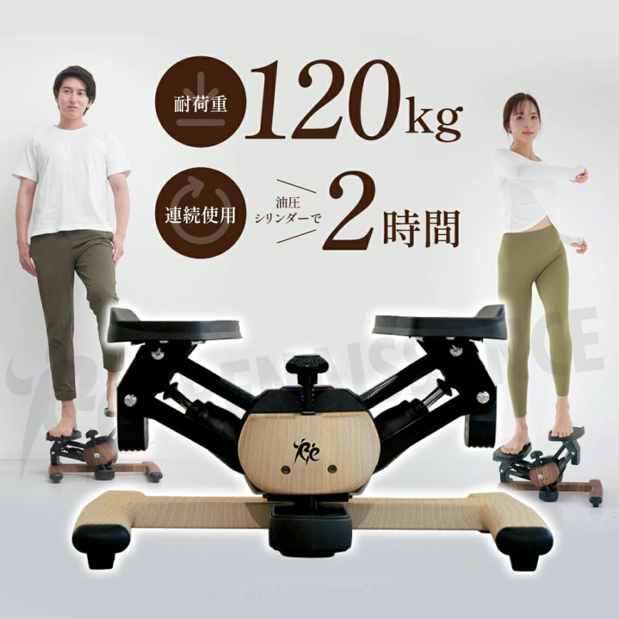 Re 【ツイストステッパー正規品】ツイストエアロステッパーPremium