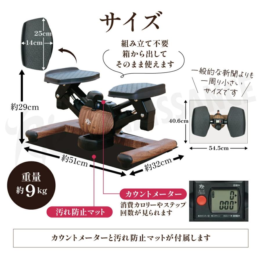 Re 【ツイストステッパー正規品】ツイストエアロステッパーPremium