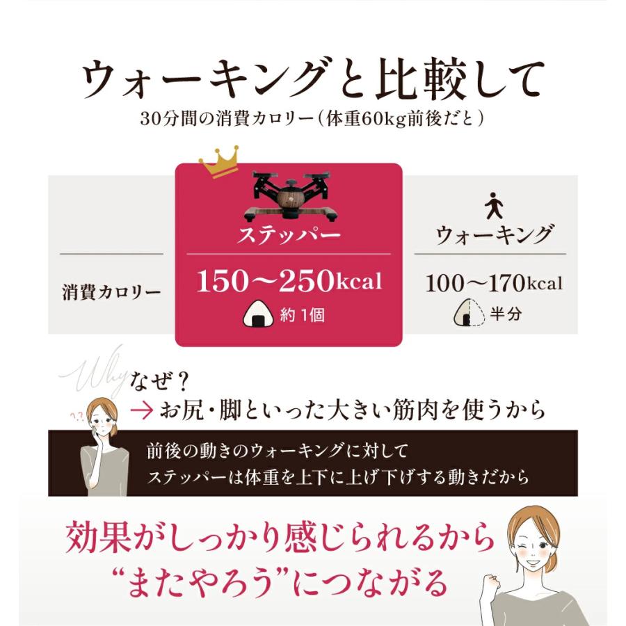 Re 【ツイストステッパー正規品】ツイストエアロステッパーPremium