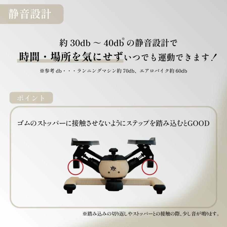 Re 【ツイストステッパー正規品】ツイストエアロステッパーPremium