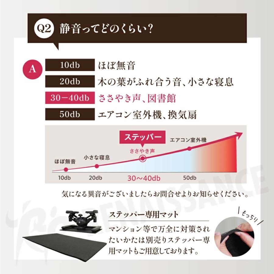 Re 【ツイストステッパー正規品】ツイストエアロステッパーPremium