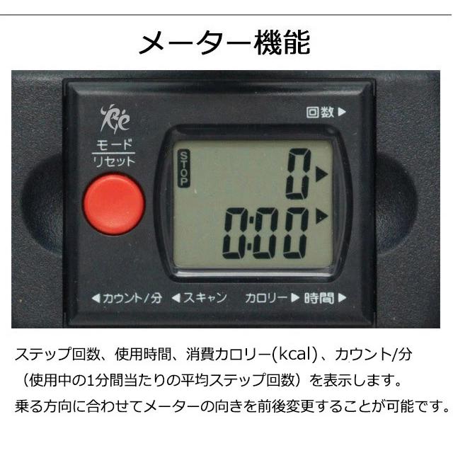 Re 【ツイストステッパー正規品】ツイストエアロステッパーPremium
