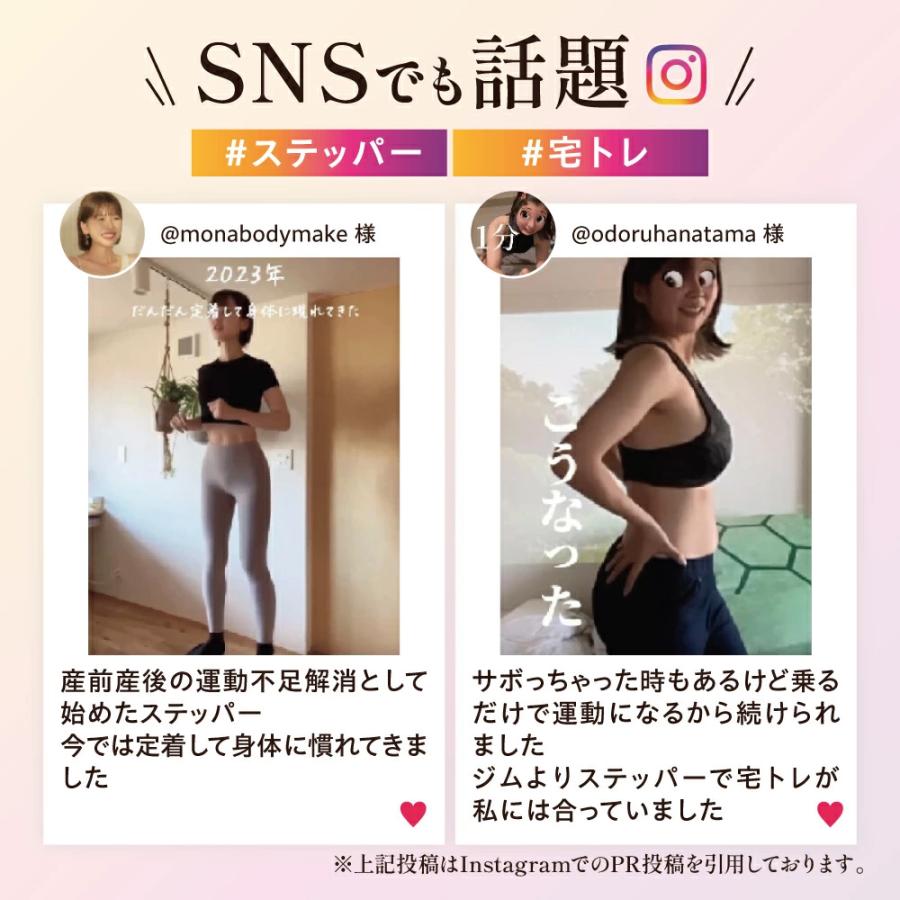 Re 【ツイストステッパー正規品】ツイストエアロステッパーPremium
