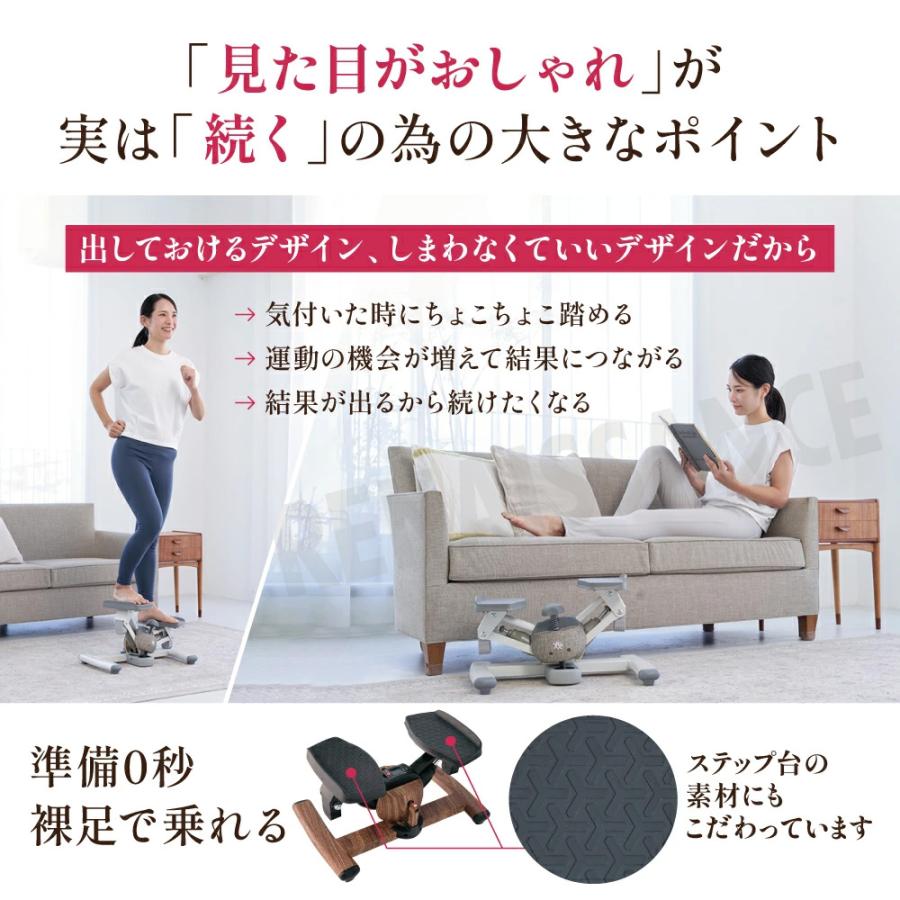 Re 【ツイストステッパー正規品】ツイストエアロステッパーPremium