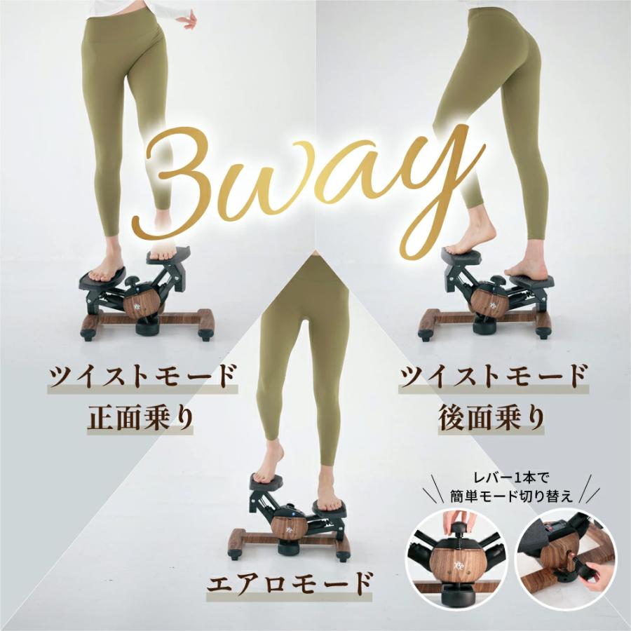 Re 【ツイストステッパー正規品】ツイストエアロステッパーPremium