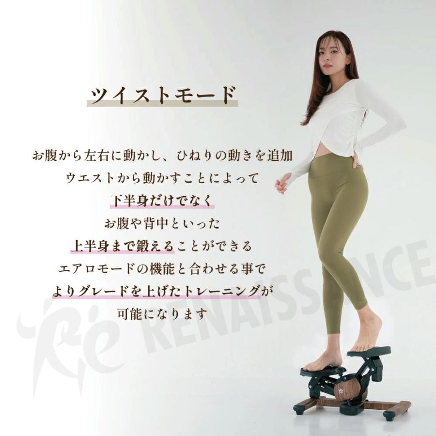 Re 【ツイストステッパー正規品】ツイストエアロステッパーPremium