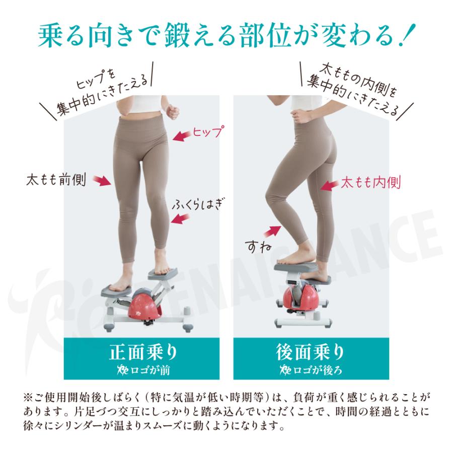 Re 【ツイストステッパー正規品】ステッパー ツイストステッパー SP