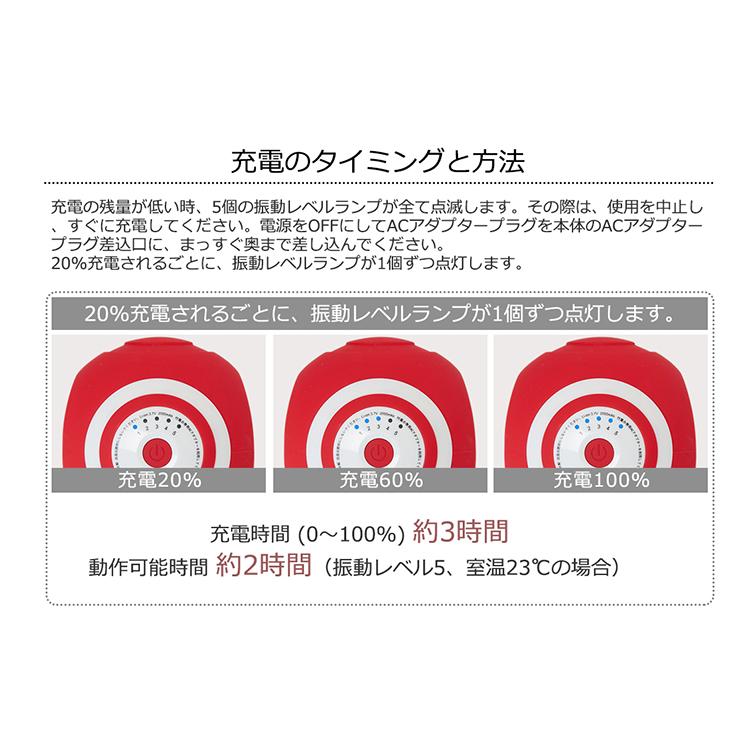 Re 【正規品】振動式 スタイリーボール 電動マッサージ 5段階調整