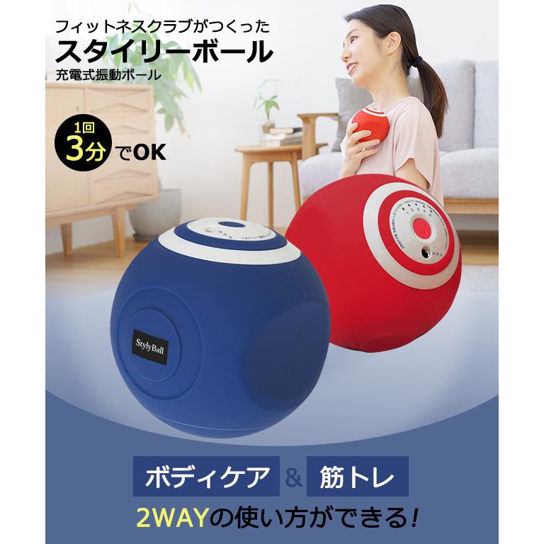 スタイリーボール スタイリーボール|ルネサンス公式通販