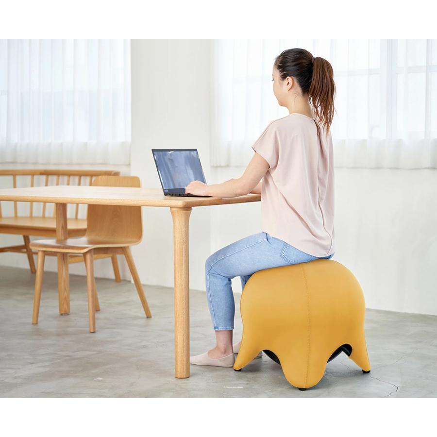 ACTIVE BASE  アクティブベイス　イス　バランスチェア Amazon.co.jp: ACTIVE BASE (アクティブベイス) バランスチェア 座位