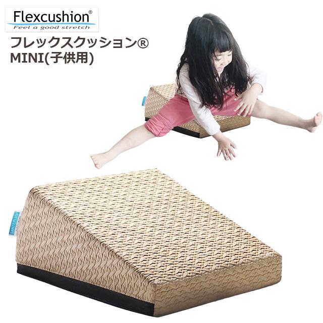 サンテプラス フレックスクッションMINI 子供用 本体のみ