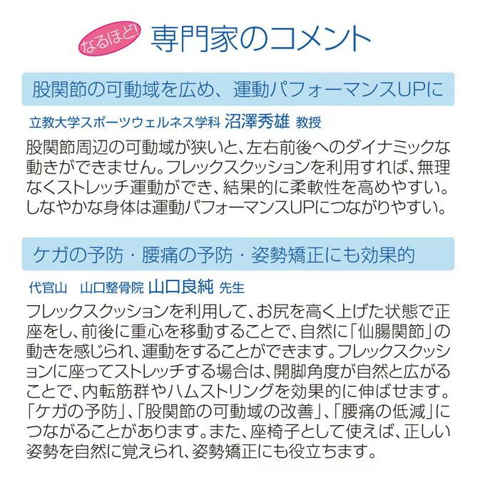 美品　フレックスクッション　MINI （サンテプラス株式会社）ベージュ 子供用】フレックスクッションMINI : サンテプラスYahoo!店 - 通販