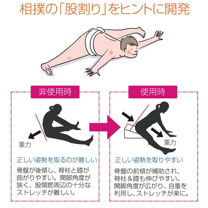 サンテプラス フレックスクッションMINI 子供用 ＆DVDセット