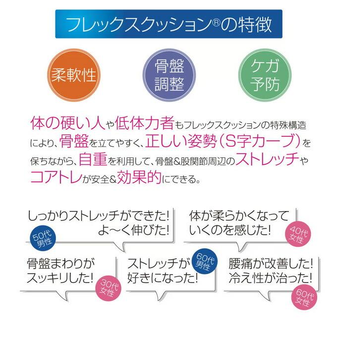 サンテプラス フレックスクッションMINI 子供用 ＆DVDセット